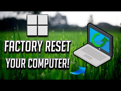 Computer Freezing? Here's What to Do!